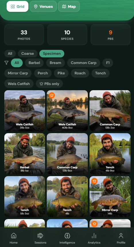 Catch Gallery